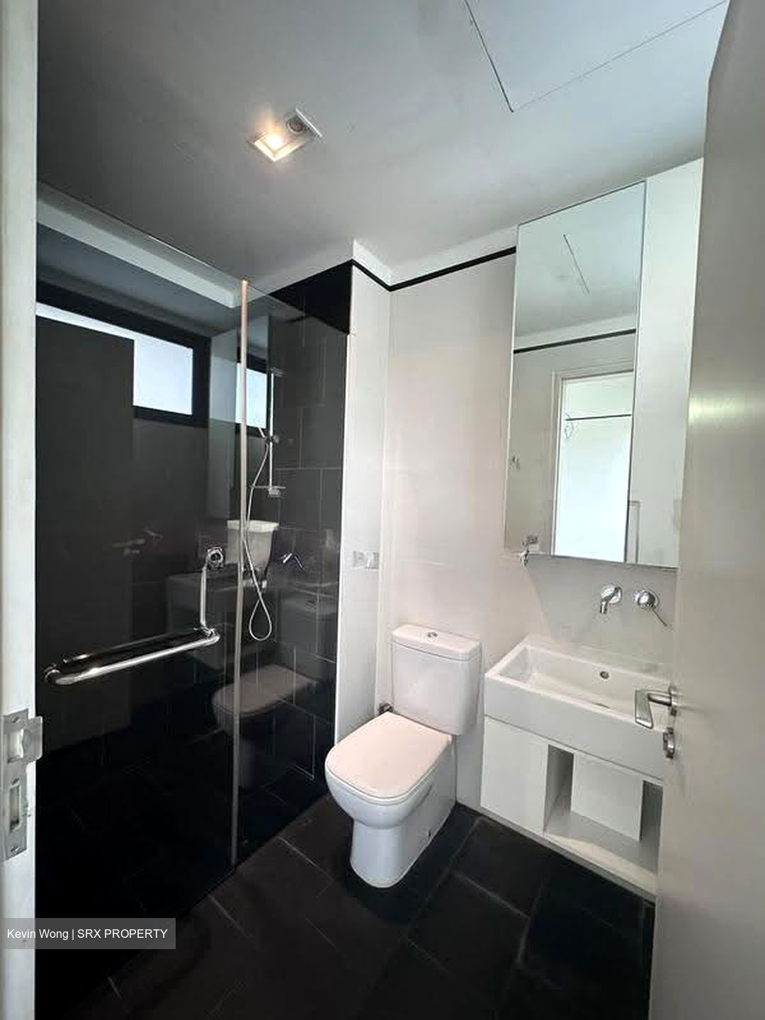 Village @ Pasir Panjang (D5), Condominium #622248281
